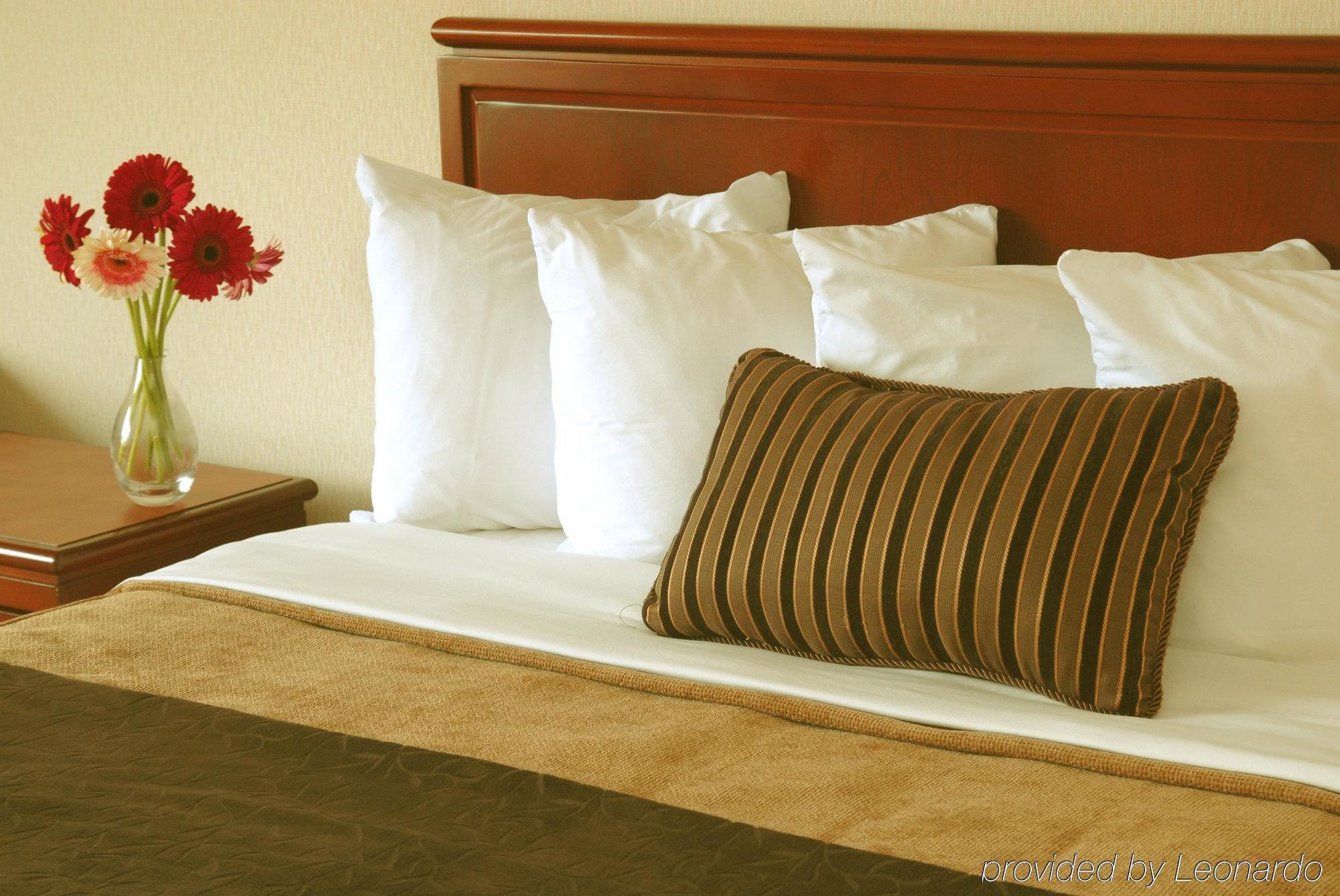 Готель Doubletree By Hilton St. John'S Harbourview Номер фото